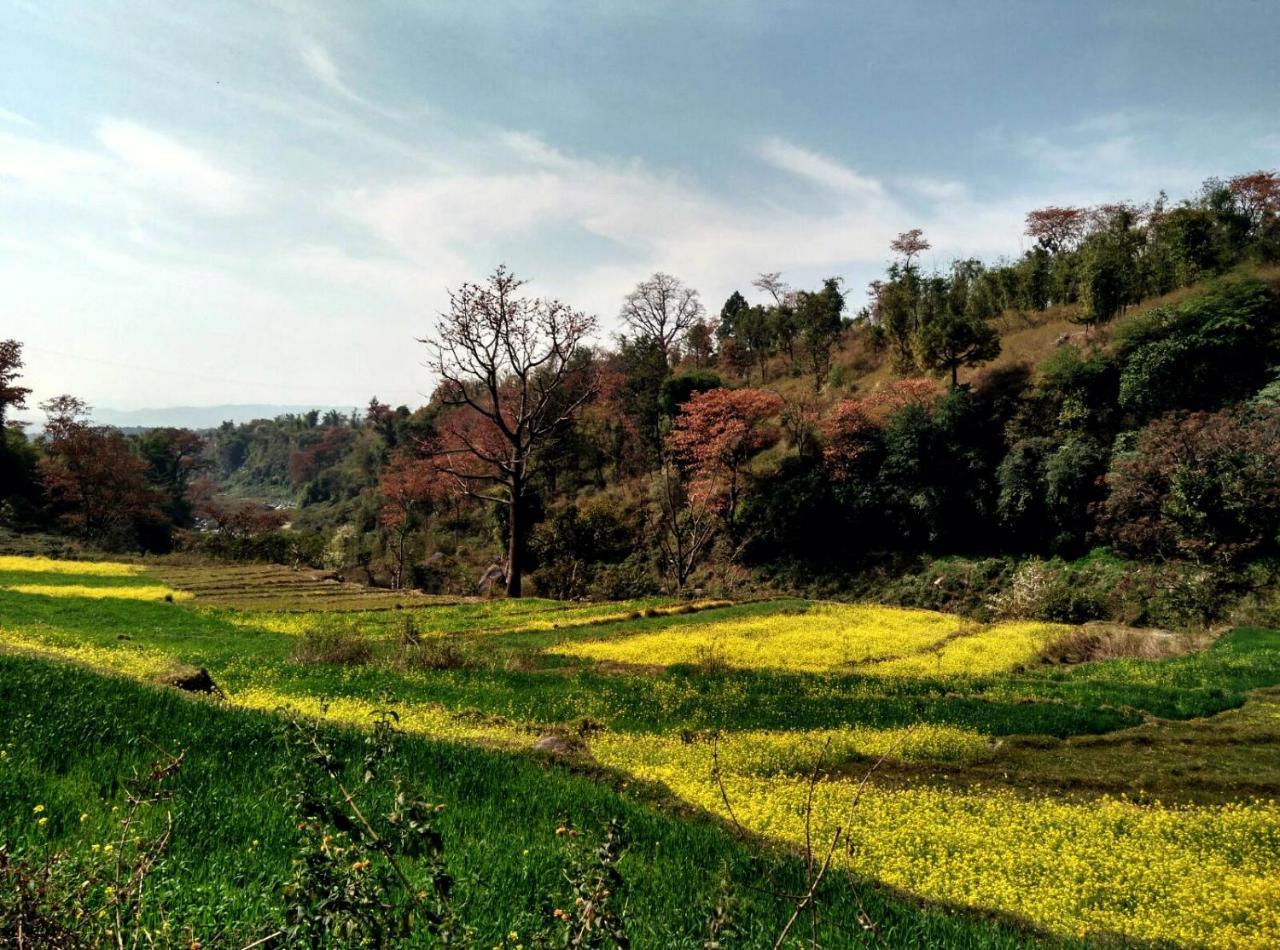 Rakkh Resort Pālampur Eksteriør bilde